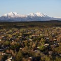 The Political Landscape of Harbinger, NC: An Expert's Perspective